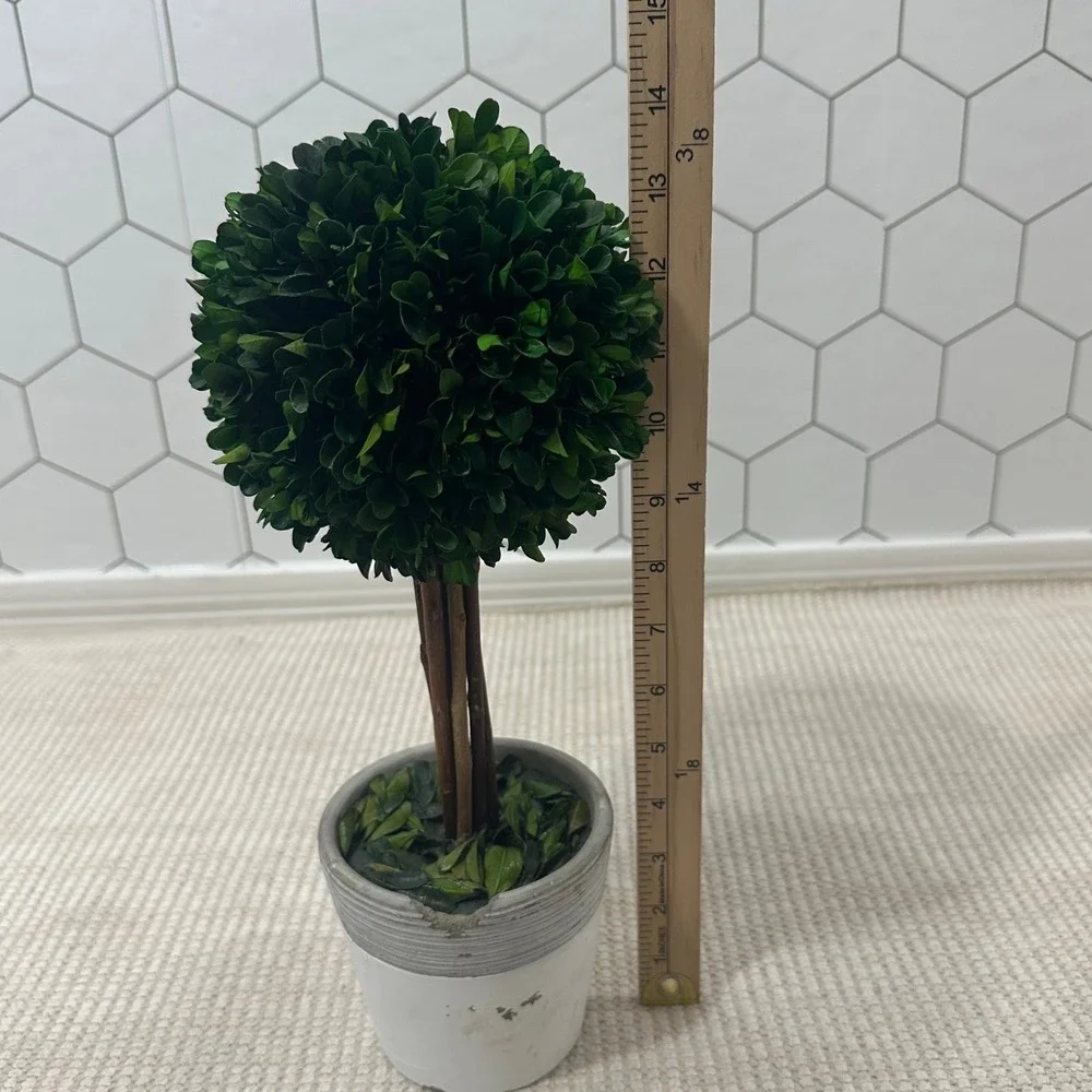 Preserved Boxwood Topiary Tree Round Ball in Distressed Grey Pot 15 Inch Green